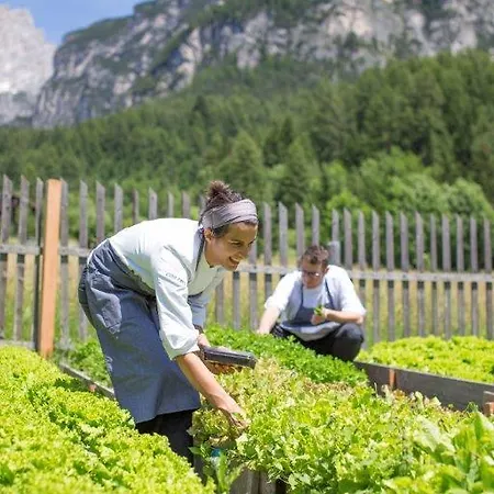 Trieste 3* San Vito di Cadore