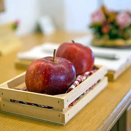 Hotel Trieste San Vito di Cadore