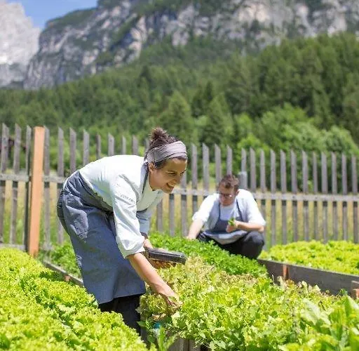 Trieste 3* San Vito di Cadore